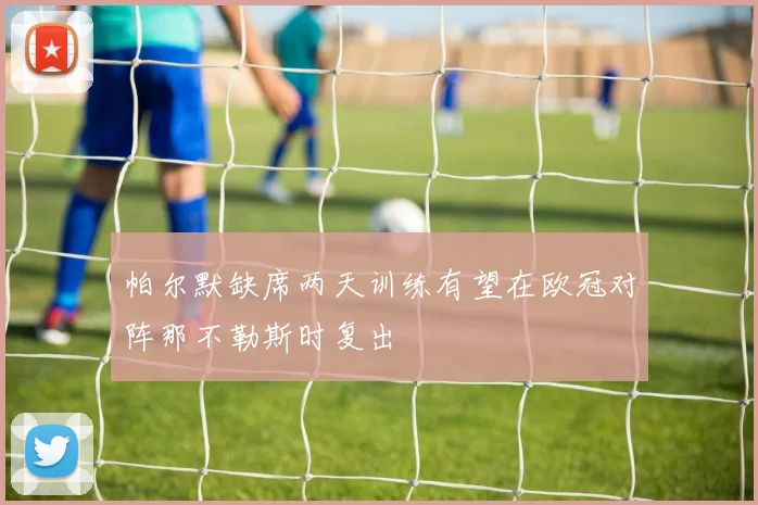 帕尔默缺席两天训练有望在欧冠对阵那不勒斯时复出