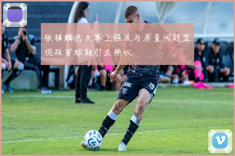 张镇麟总决赛上强度与质量问题显现踩穿球鞋引发热议